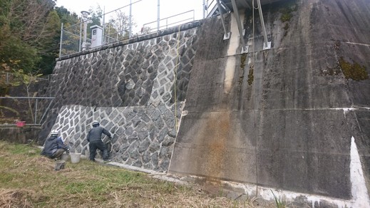 光建パトロール～再生可能エネルギーを最大限～